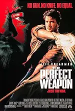 Film The Perfect Weapon (1991) ilk21 Sub Indo