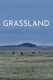 Grassland (2023)
