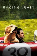 Film The Art of Racing in the Rain (2019) ilk21 Sub Indo