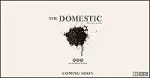 The Domestic (2022)