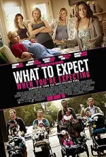 Film What to Expect When You’re Expecting (2012) ilk21 Sub Indo