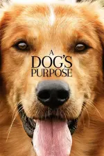 Film A Dog’s Purpose (2017) ilk21 Sub Indo