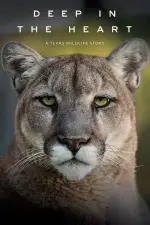 Film Deep in the Heart: A Texas Wildlife Story (2022) ilk21 Sub Indo