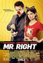 Film Mr. Right (2015) ilk21 Sub Indo