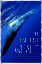 Film The Loneliest Whale: The Search for 52 (2021) ilk21 Sub Indo
