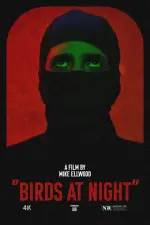 Birds at Night (2023)