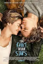 Film The Fault in Our Stars (2014) ilk21 Sub Indo