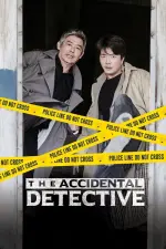 Film The Accidental Detective (2015)