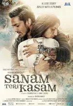 Sanam Teri Kasam (2016)