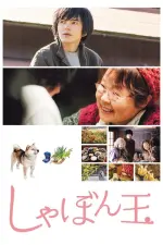 Film Shabondama (2017) ilk21 Sub Indo
