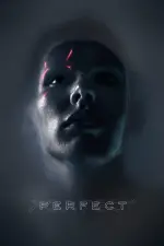 Film Perfect (2018) ilk21 Sub Indo
