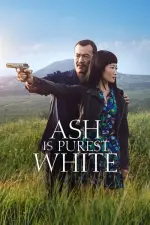 Film Ash Is Purest White (2018)